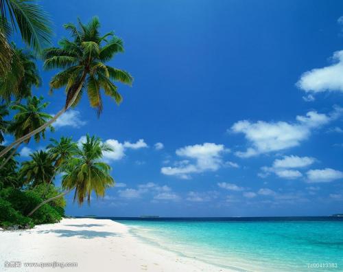 ձͣ׼뾳 Ӣ䶨ڿ˺ͣ